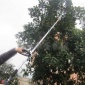 便携式汽油高枝锯梧桐树修剪高枝油锯园林绿化打草机圣通